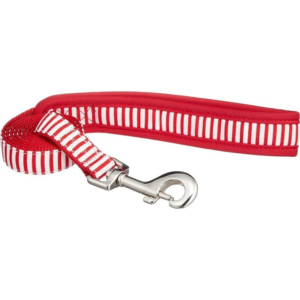 カワノ　ソフティリード　シンプルボーダー　Ｒ, その他カラー１, SSサイズ