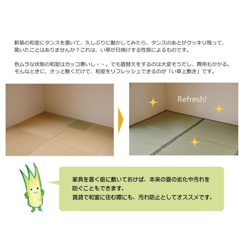 純国産 い草 上敷き カーペット 糸引織 『柿田川』 江戸間 【メーカー直送・代引不可】, い草, 江戸間2畳(約176&times;176cm）