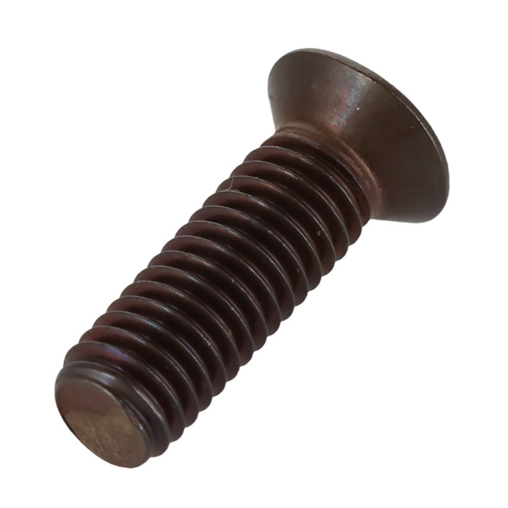 サッシ小ねじ　ステン　ブロンズ　Ｄ８　Ｍ５&times;１６　１０本入　小袋, ブロンズ, D8 M5&times;16mm