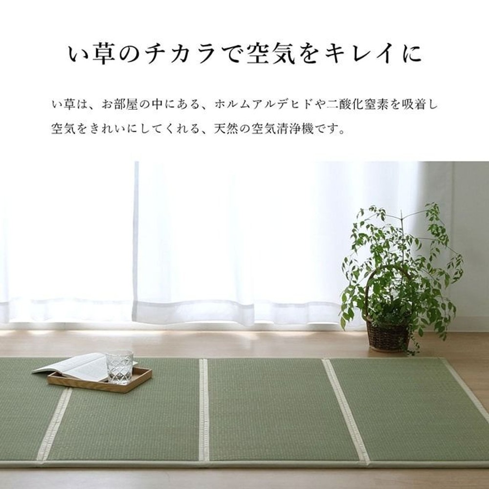 畳マットレス い草 ユニット 畳 軽量 抗菌防臭 消臭 防音 断熱性 お手入れ 約100&times;200cm【メーカー直送・代引不可】, い草, 100&times;200cm