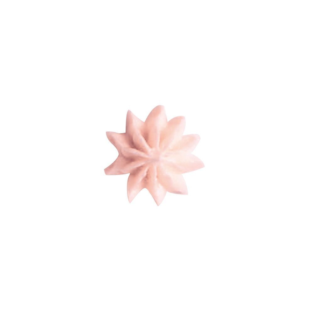 タイガークラウン（TIGERCROWN） 手作り口金　大　＃２Ｃ　花型 1022, 花型 10切, 大サイズ
