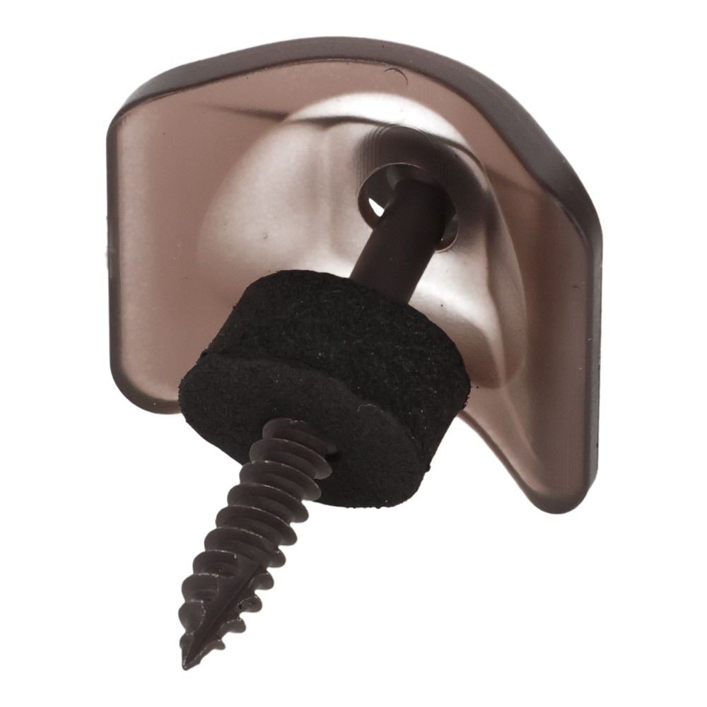 波板取付ビス　木下地５ｘ３５ミリ　クリア１００個, クリア, 100個