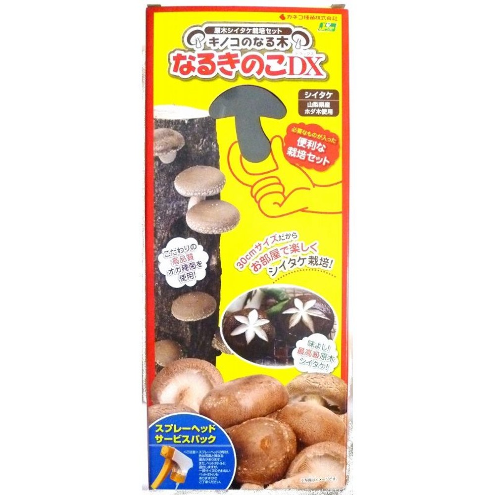 原木しいたけ栽培セット　なるきのこＤＸ　約３０ｃｍ, しいたけ栽培セット, 30cm