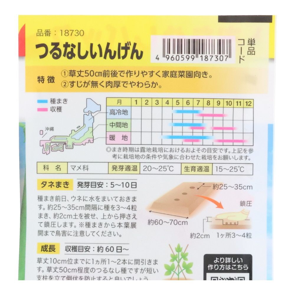 つるなしいんげん（おためしパック）, インゲン, 10粒