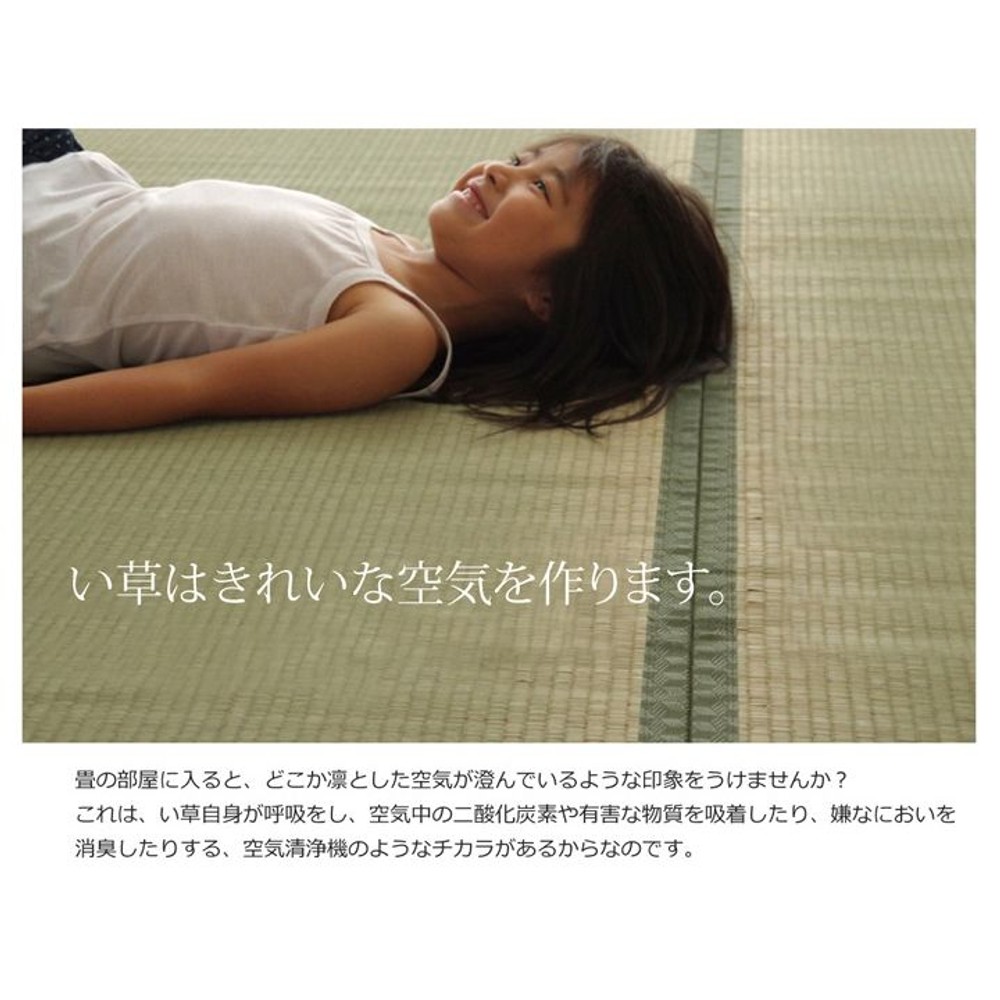 純国産 い草 上敷き カーペット 双目織 『草津』 本間 【メーカ直送・代引不可】, い草, 本間1畳(約95&times;191cm）