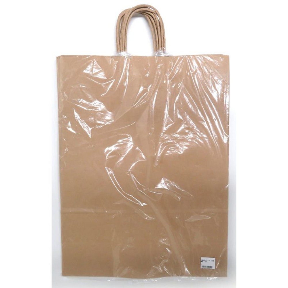 手提袋カスタム　未晒無地　5Ｐ, その他カラー１, その他サイズ１