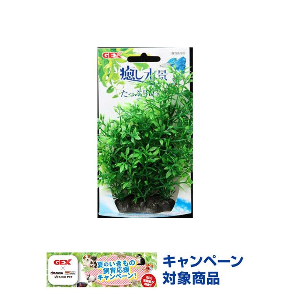 癒し水景　たっぷりプランツ　ロタラ, -, -