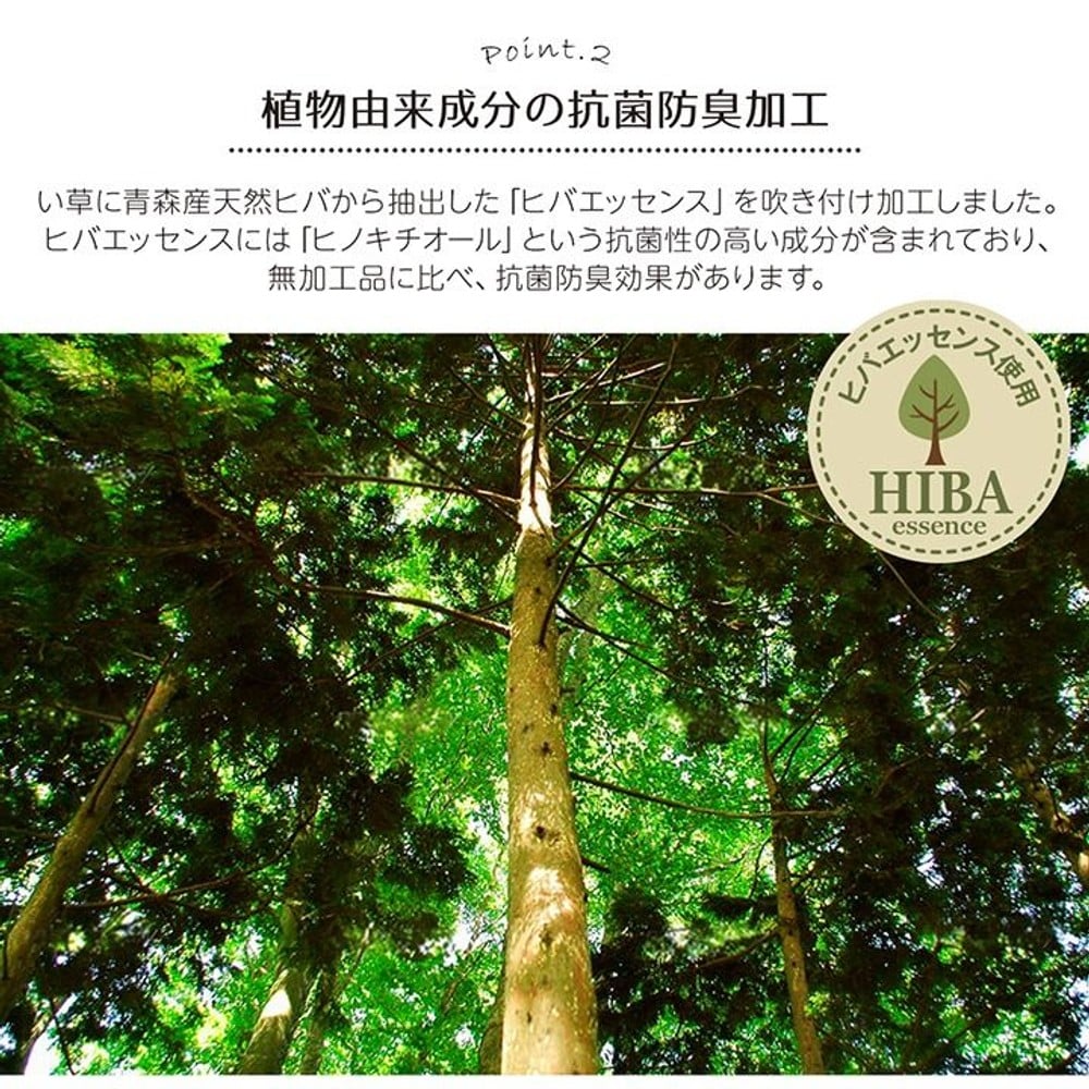い草ラグ 花ござ カーペット ラグ ギャッベ(ギャベ)柄 抗菌防臭 消臭 江戸間 グリーン 【メーカー直送・代引不可】, グリーン, 江戸間2畳 約174&times;174cm