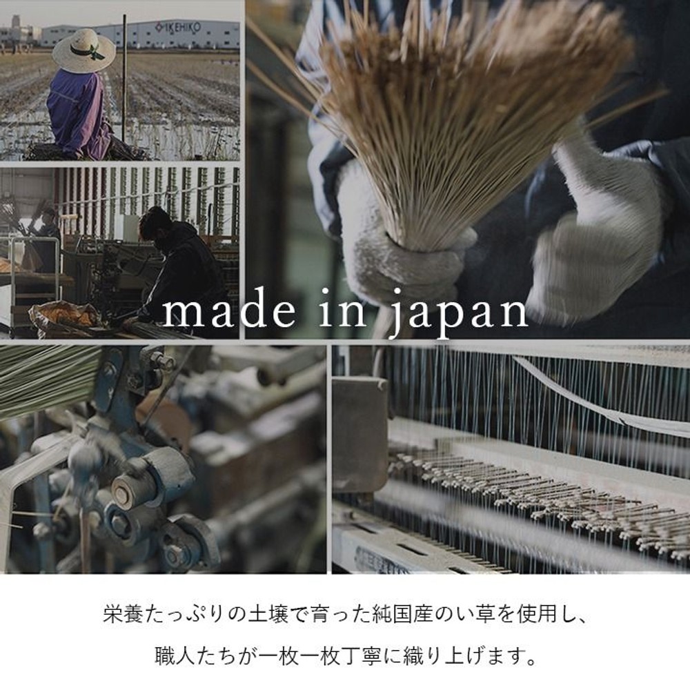 イケヒコ 純国産 い草ラグカーペット ブロック調 ライトグレー 【メーカー直送・代引不可】, ライトグレー, 140&times;200cm
