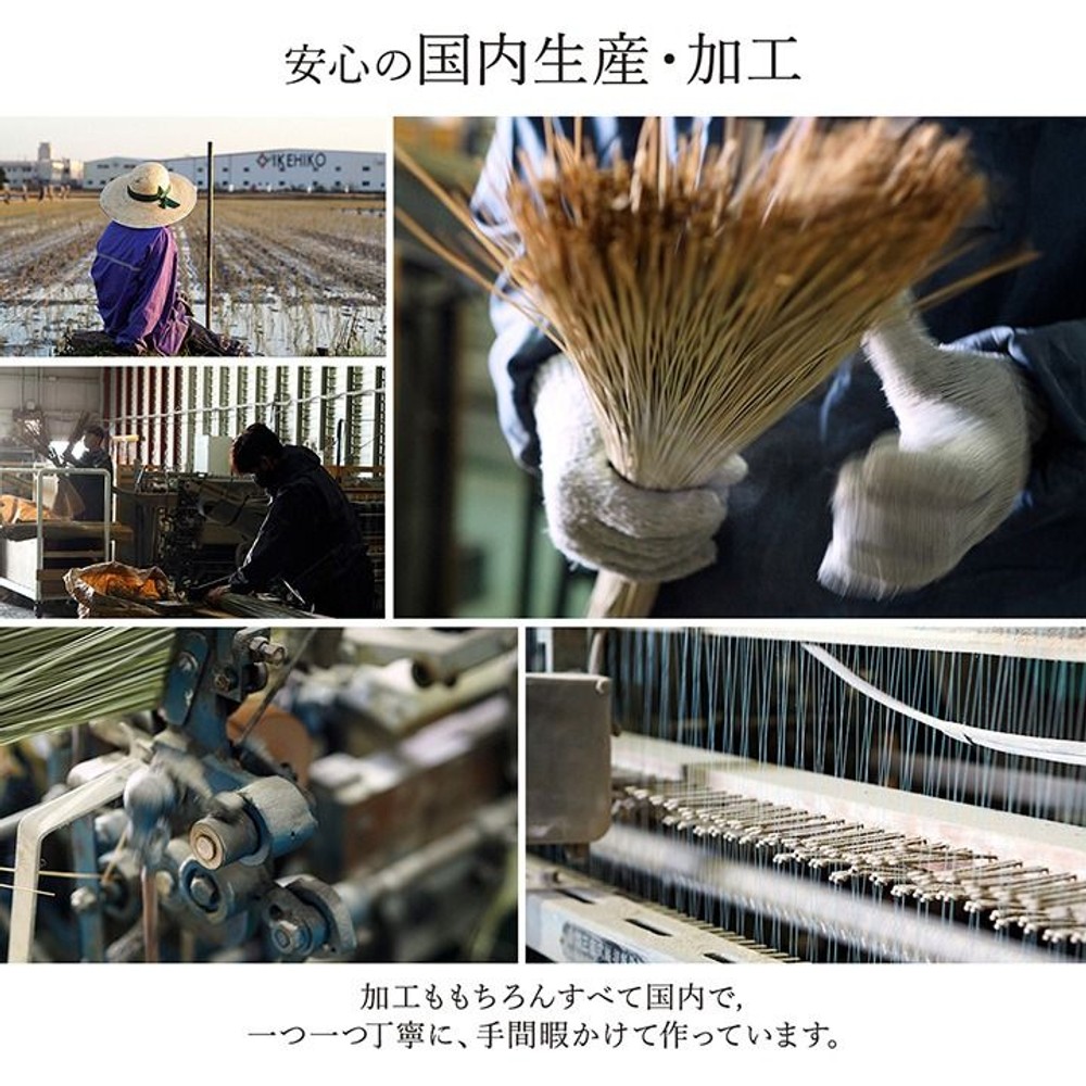 イケヒコ ランクス総色 純国産 い草ラグカーペット 裏貼り有 ネイビー 【メーカー直送・代引不可】, ネイビー, 95&times;150cm