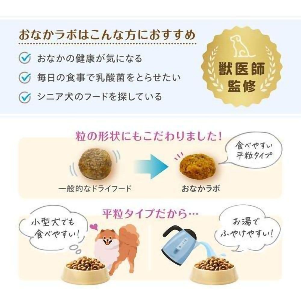 森乳 スーパーゴールド おなかラボ 成犬用 800g, 成犬用, 800g