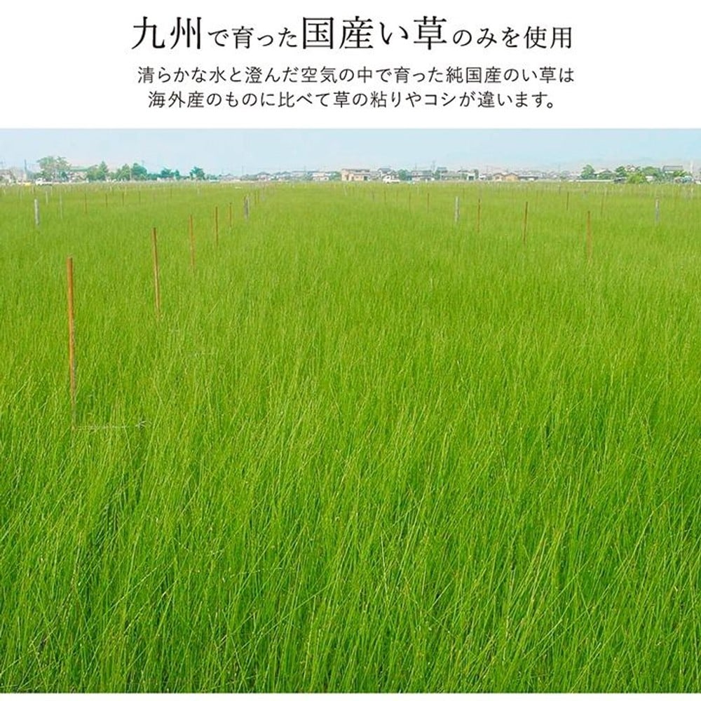 イケヒコ い草ラグカーペット Fソリッド ウレタン 無地調 グレー 【メーカー直送・代引不可】, グレー, 140&times;200cm
