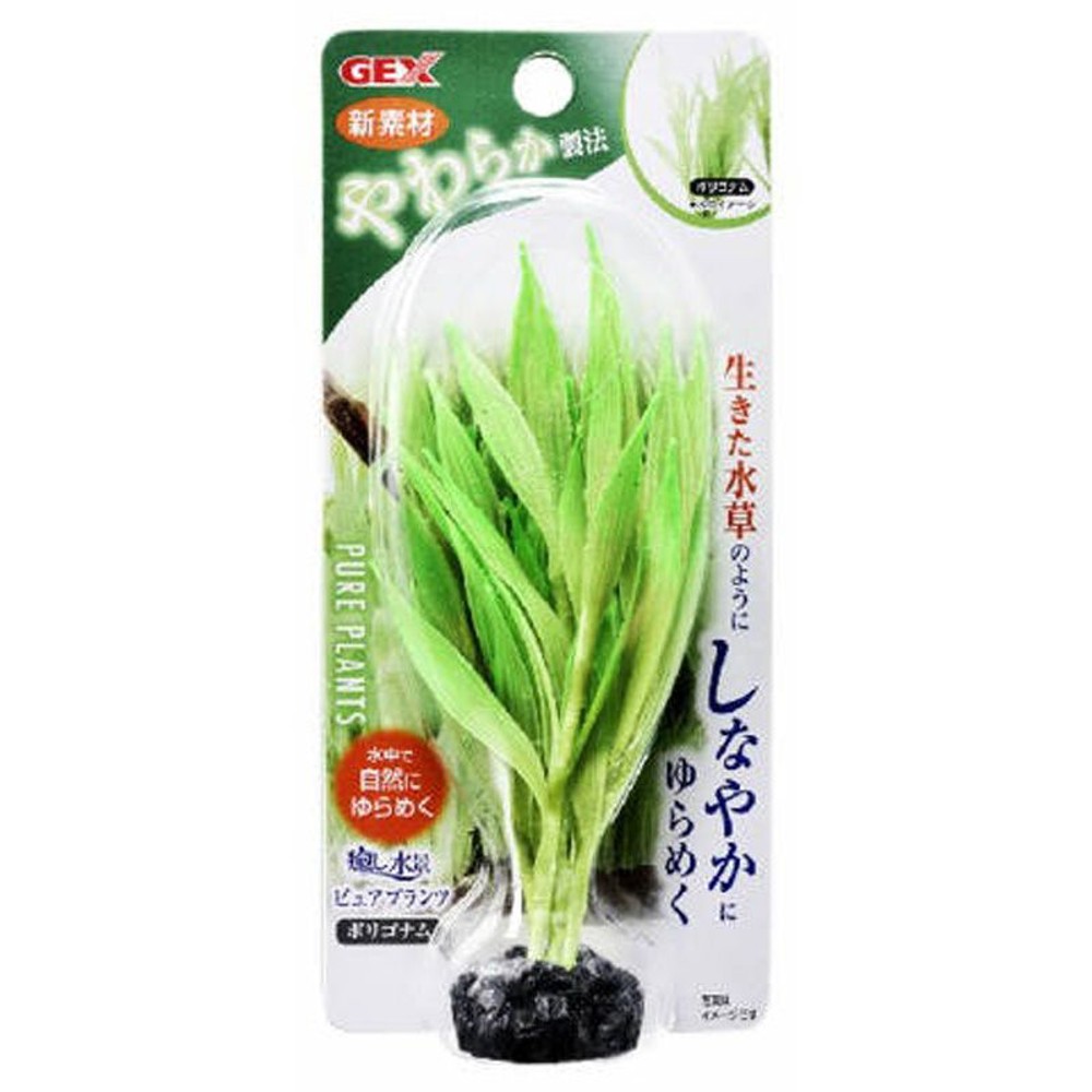 癒し水景　ピュアプランツ　ポリゴナム, その他カラー１, その他サイズ１