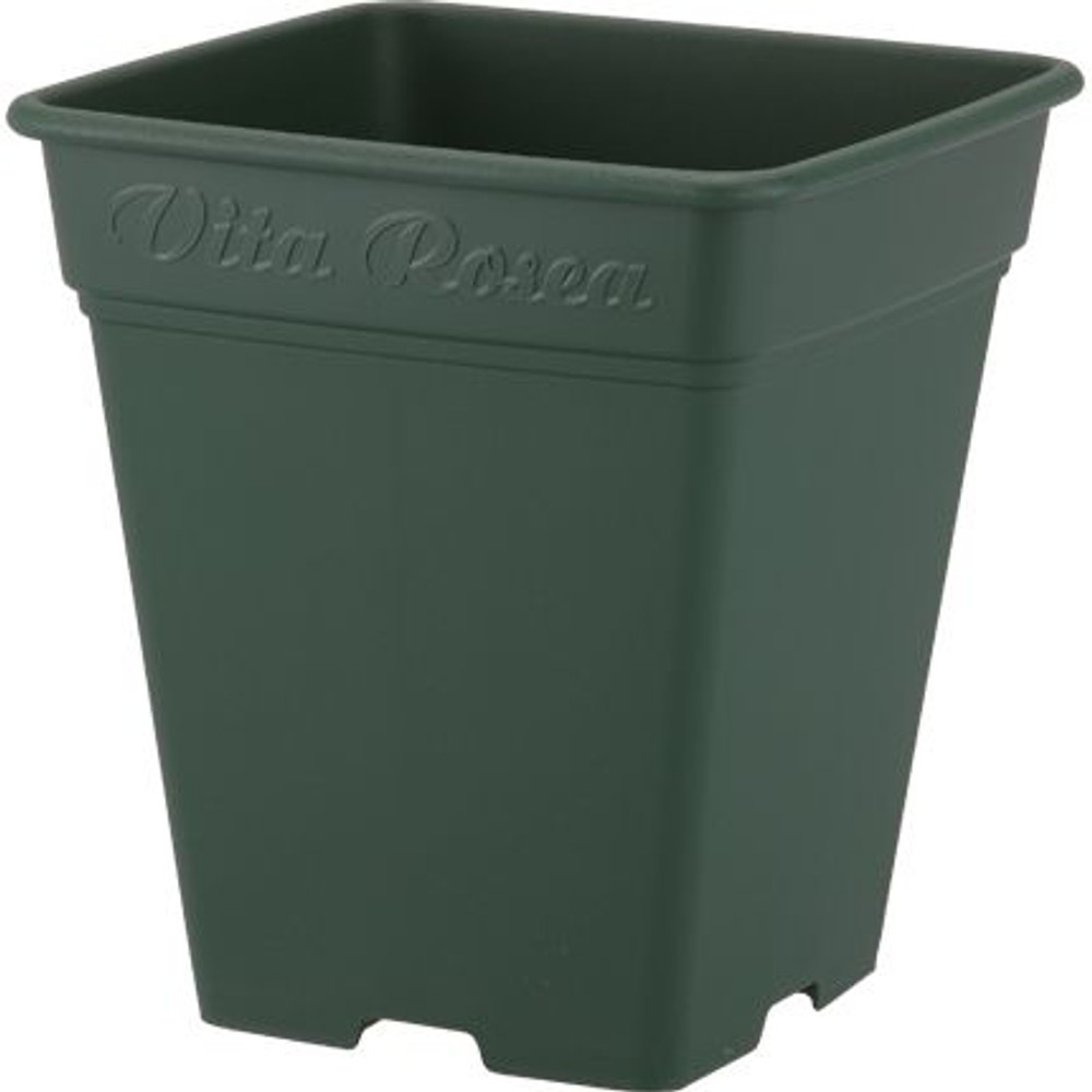 ロゼアスクエア　２６０型, グリーン, 260型