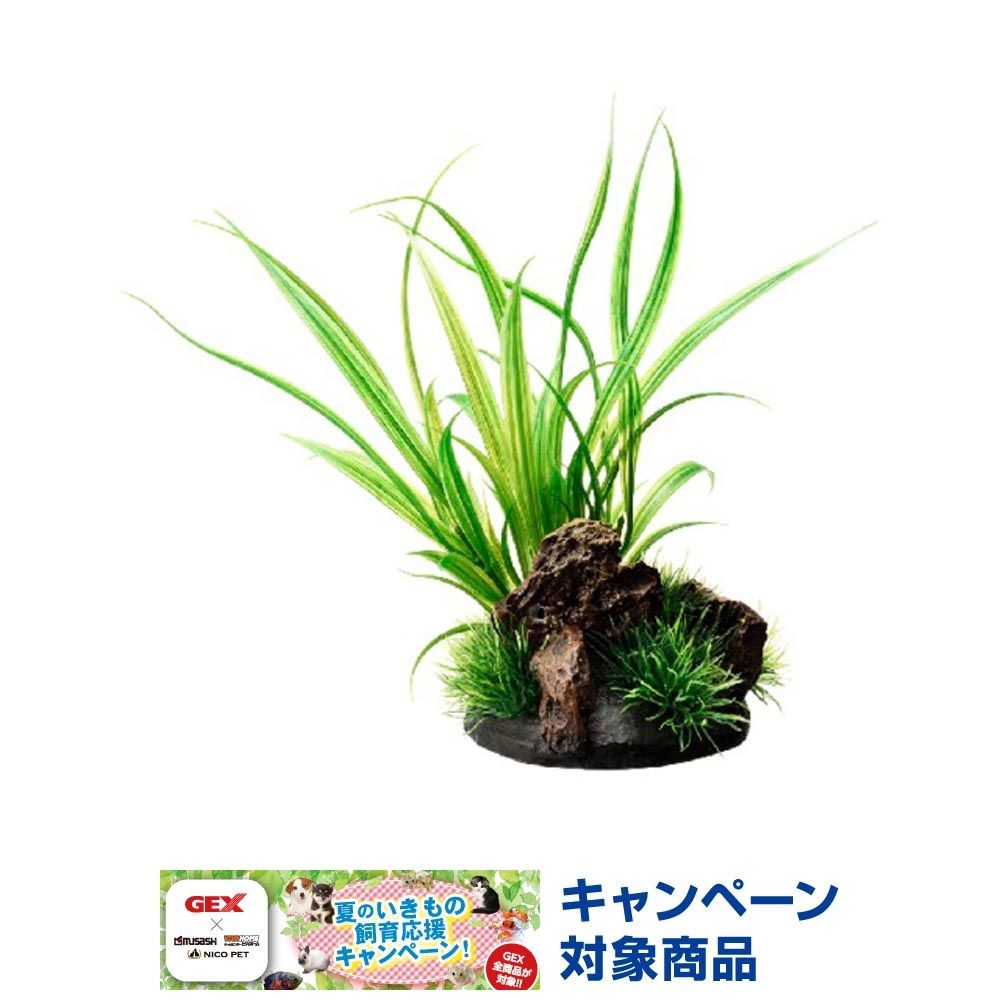 ジェックス　癒し水景アクアキャンバスシペルス, その他カラー１, その他サイズ１