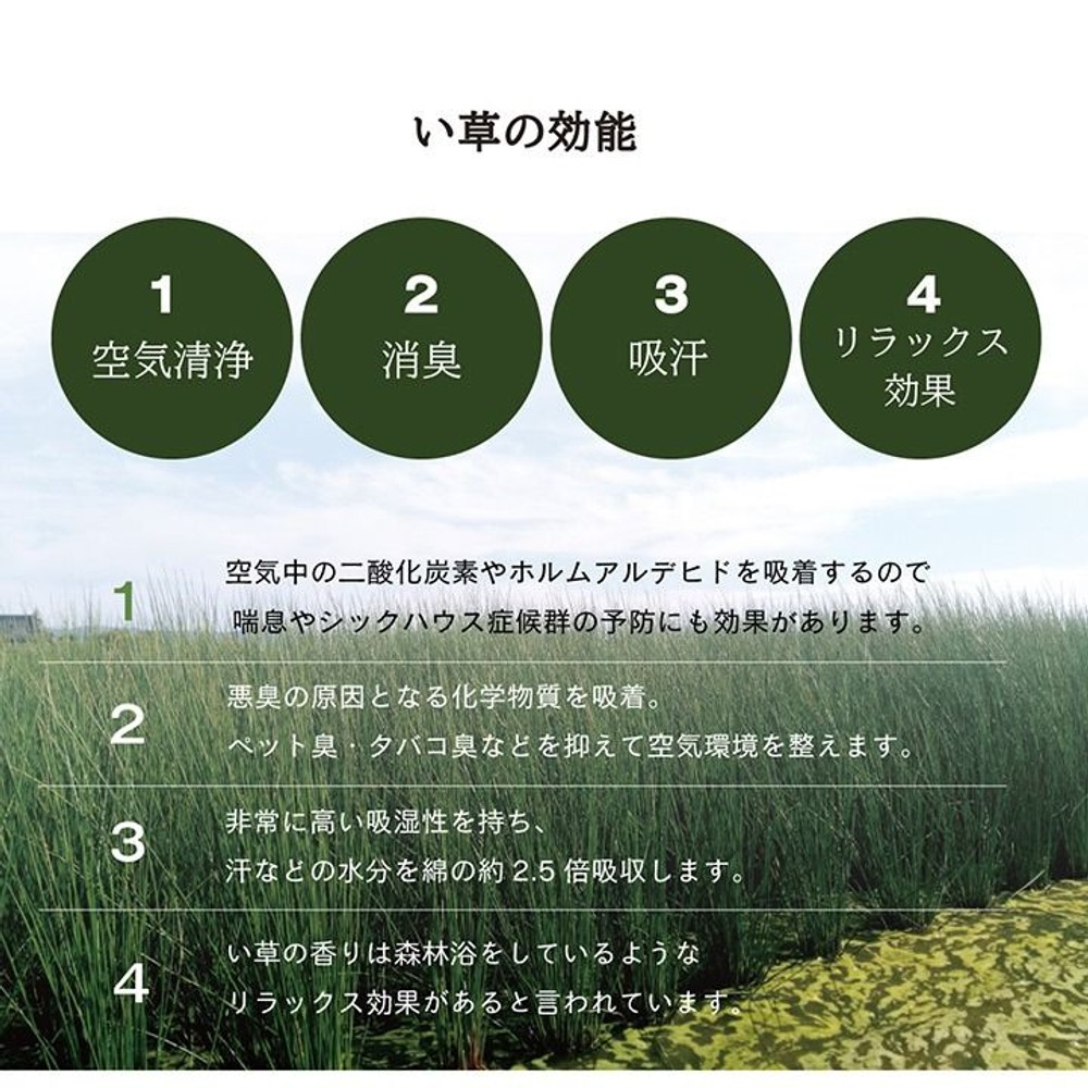イケヒコ ユニット畳 シンプル 裏面滑り止め 約70&times;70&times;1.5cm 9枚組2色セット ネイビー／グレー【メーカー直送・代引不可】, ネイビー+グレー, 9枚組