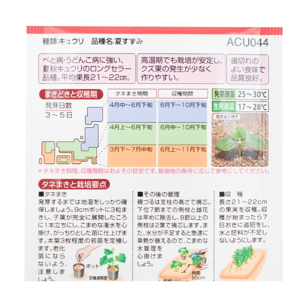 タキイ　夏すずみ, きゅうり, 12粒