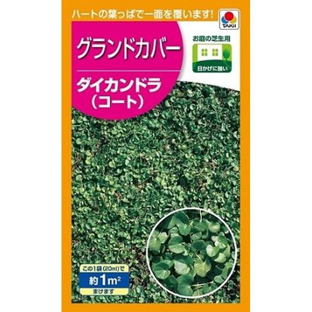 タキイ　グランドカバー　ダイカンドラ, -, 20ml