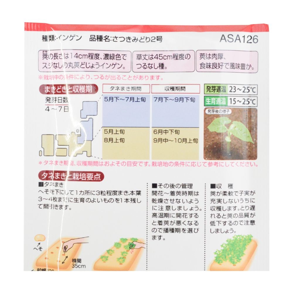 タキイ　さつきみどり２号, インゲン, 25ml