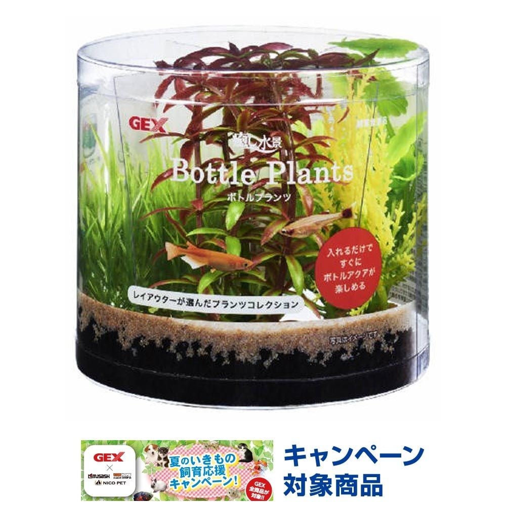 ジェックス　癒し水景　ボトルプランツ　ロタラ, その他カラー１, その他サイズ１