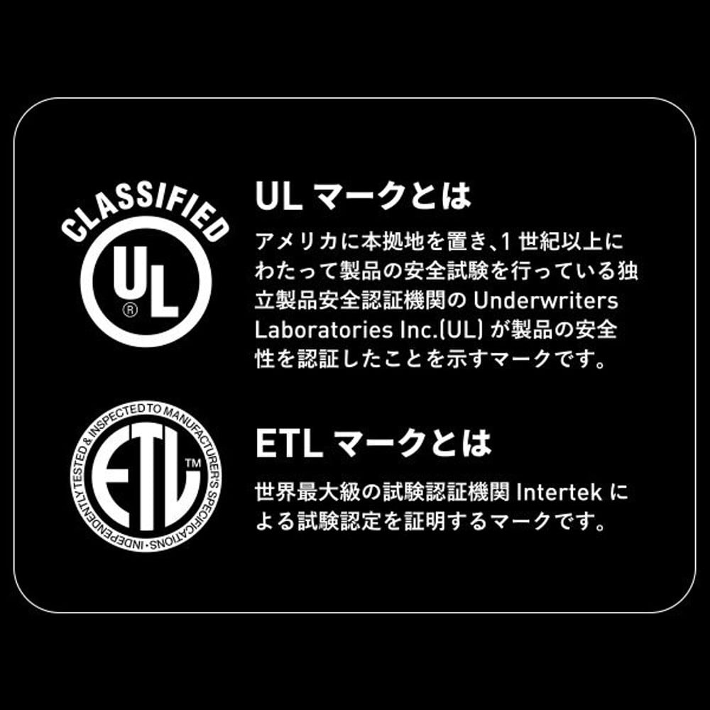 セントリー ポータブル耐火・防水保管庫 CHW30100, ブラック, CHW30100