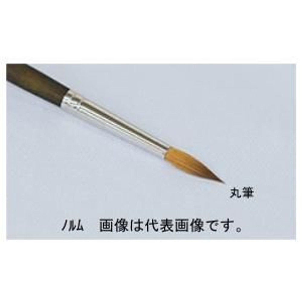 名村大成堂 Norme（ノルム）4丸 (81117041) 水彩画・デザイン筆, Norme（ノルム）, 4丸 水彩画・デザイン筆