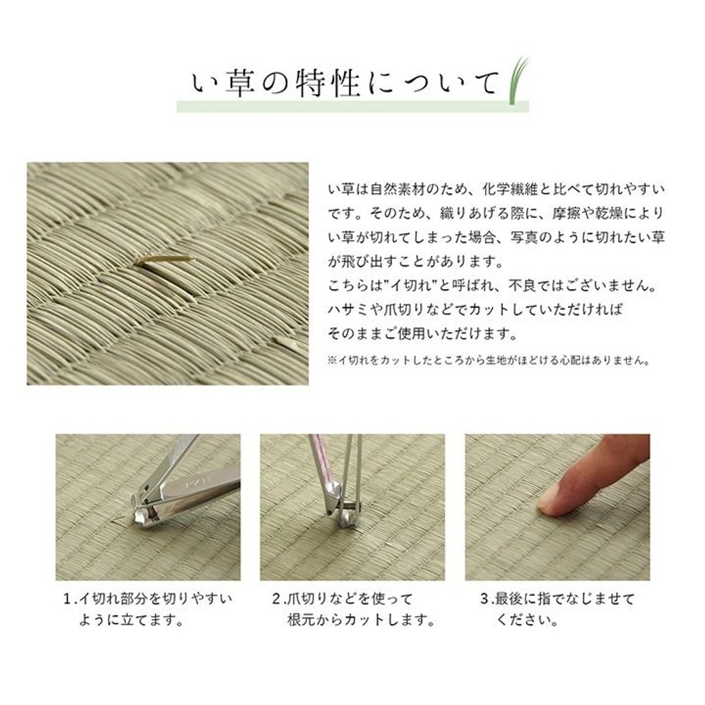 イケヒコ 夏用 い草ラグ シンプル ネイビー 【メーカー直送・代引不可】, ネイビー, 191&times;191cm