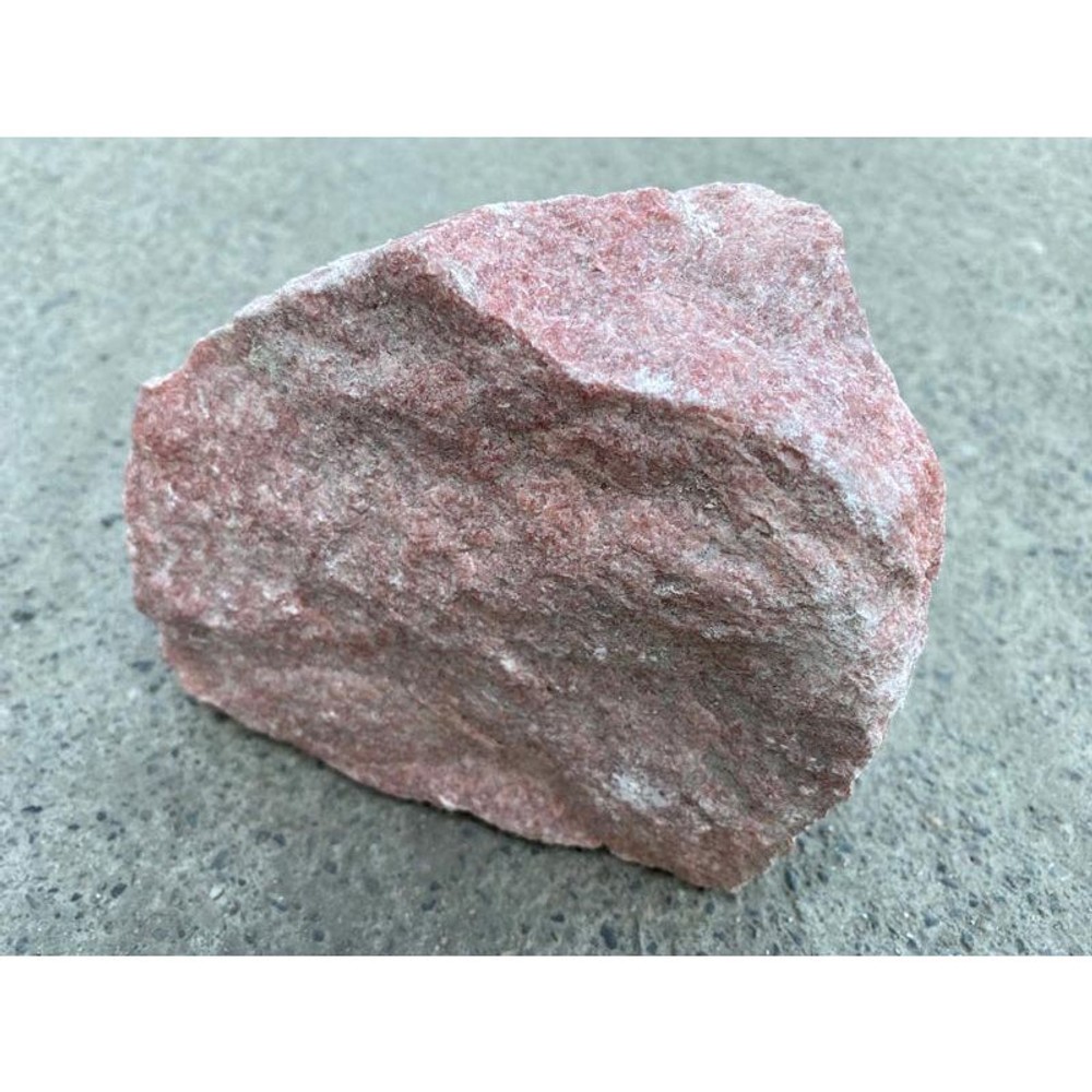 マール, -, 約1.0kg