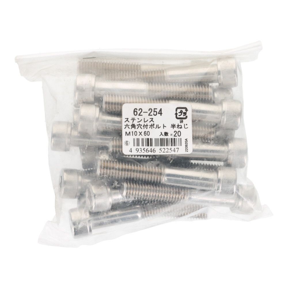 ステンレス　６角穴付ボルト　Ｍ１０&times;６０　２０個入, ステンレス, M10&times;60