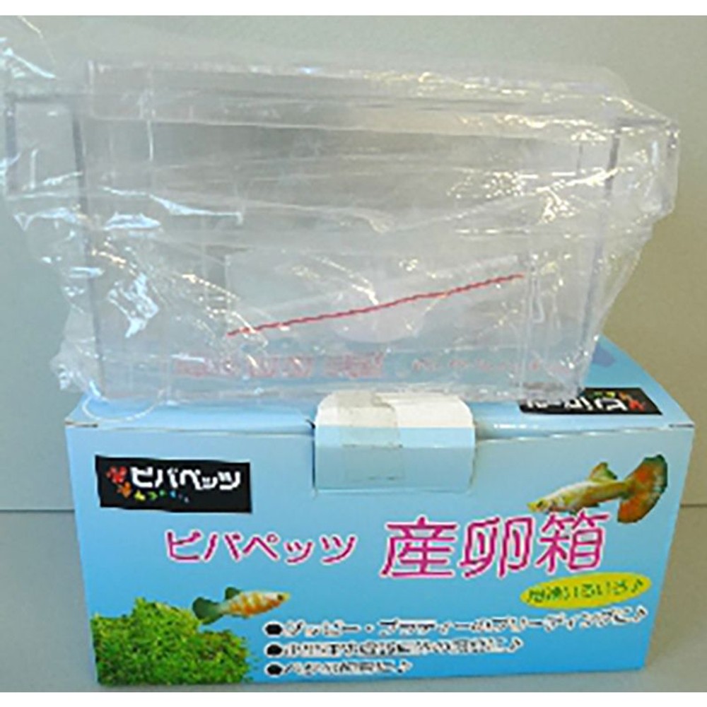 ビバペッツ　産卵箱, その他カラー１, その他サイズ１