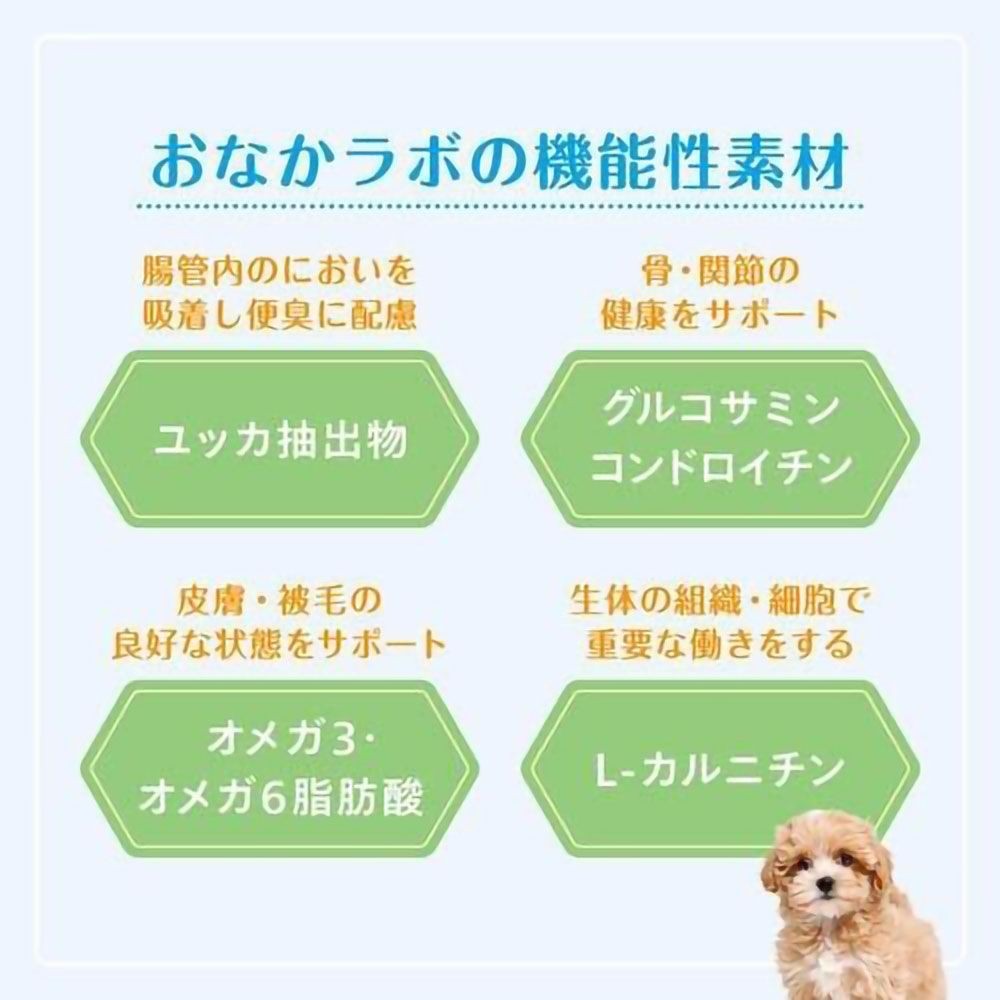 森乳 スーパーゴールド おなかラボ シニア犬用 800g, シニア犬用, 800g