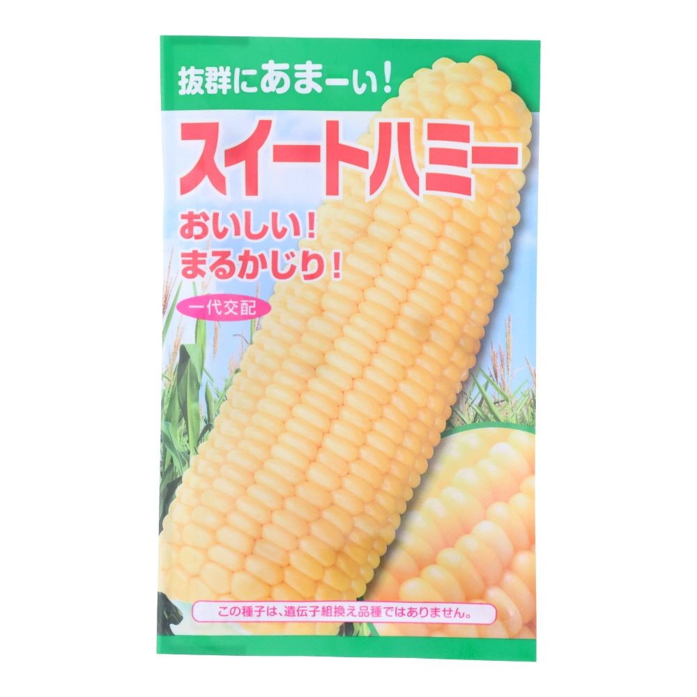 スイートハミー, トウモロコシ, 20粒