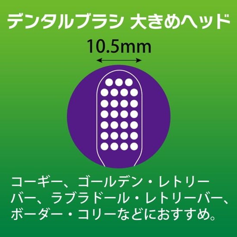 ライオン　ペットキッス　デンタルブラシ 大き目ヘッド, ピンク, 大きめヘッド