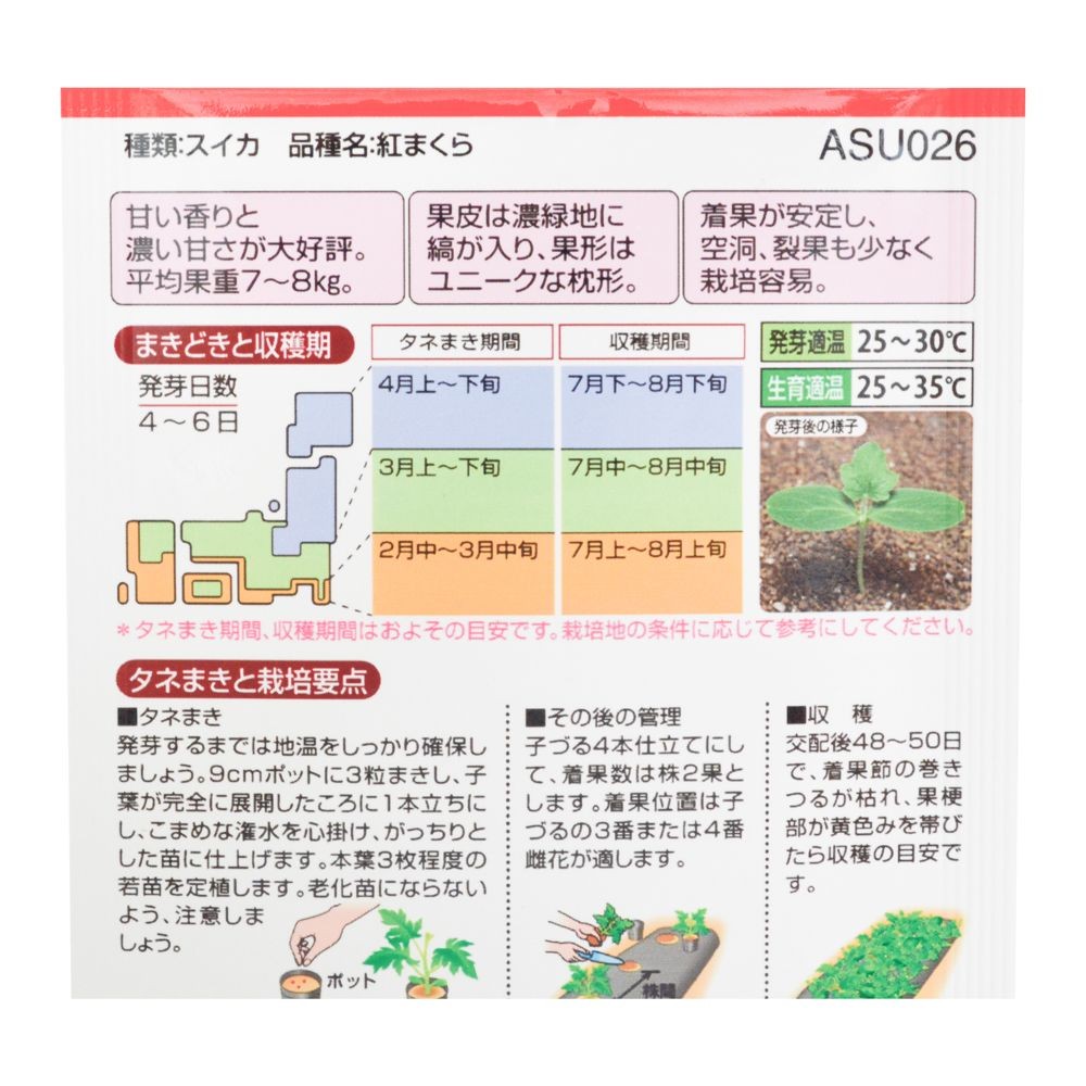 タキイ　紅まくら, スイカ, 6粒