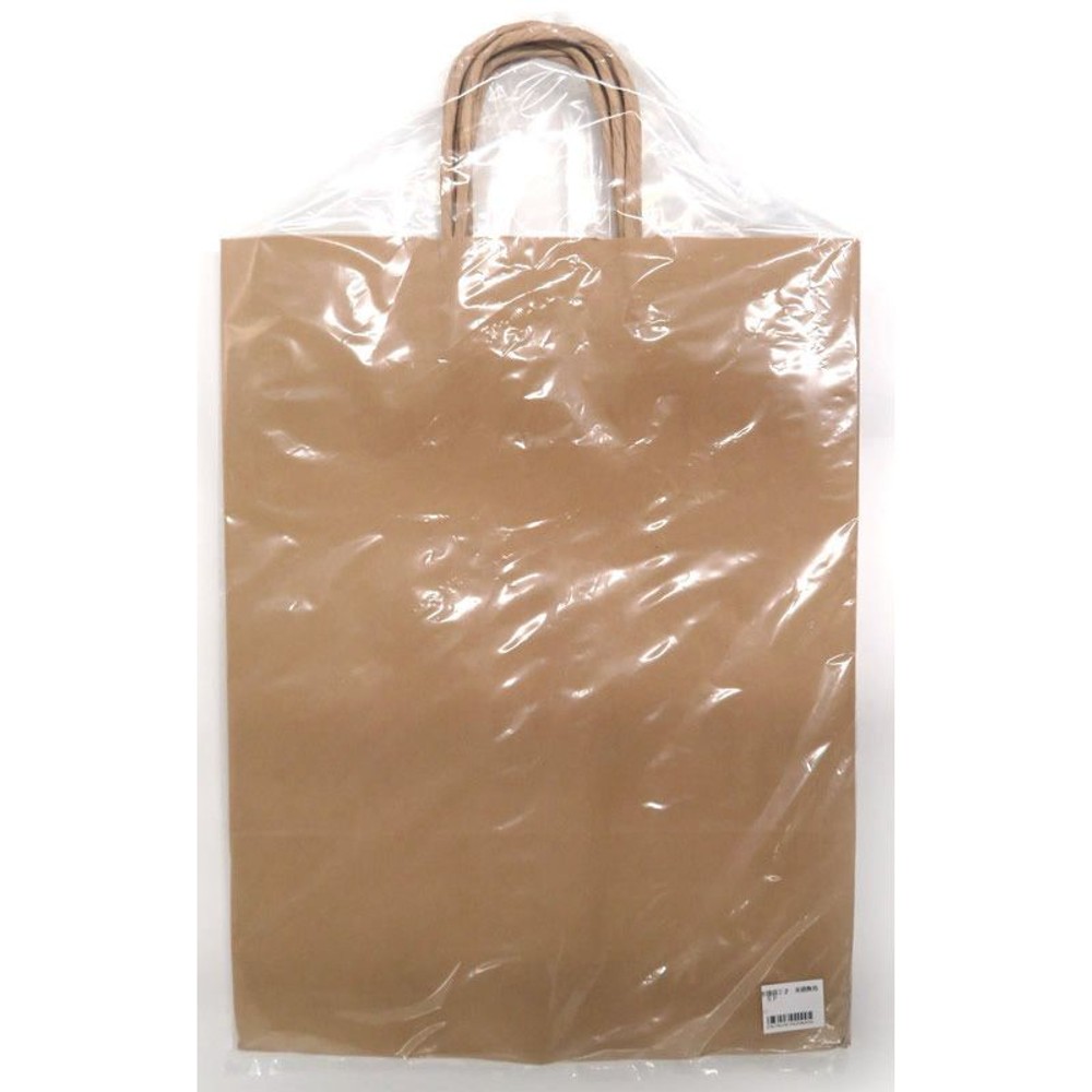 手提袋2才　未晒無地　5Ｐ, その他カラー１, その他サイズ１