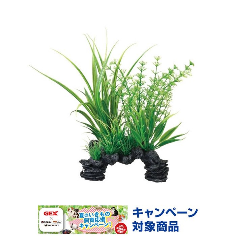 ジェックス　癒し水景ＭＩＸプランツ　ミリオフィラム, -, -