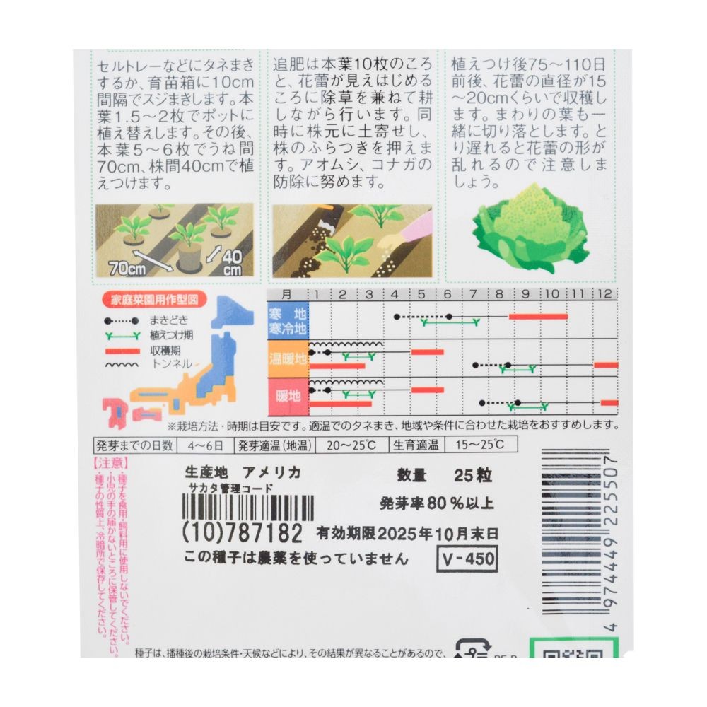 サカタ　ロマネスコ, ロマネコ, 25粒
