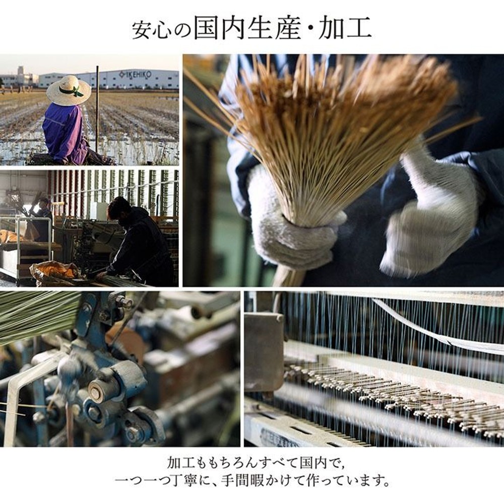 イケヒコ ランクス総色 純国産 い草ラグカーペット 裏貼り無 ワイン 【メーカー直送・代引不可】, ワイン, 95&times;150cm