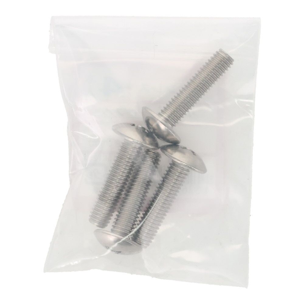 ＯＨＳＡＴＯ　ステン　コネジ　トラス　Ｍ６&times;２５, ステンレス, 4本入り