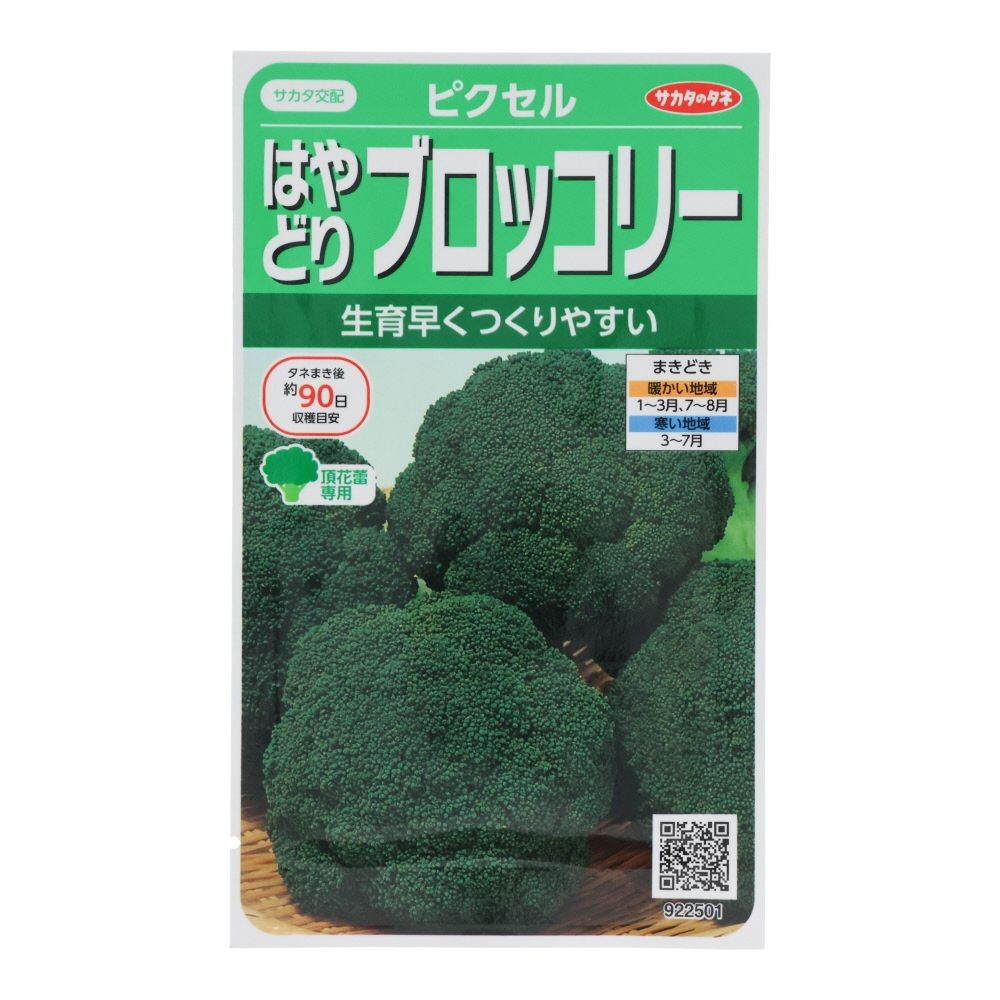 サカタ　　早どりブロッコリー, ブロッコリー, 100粒