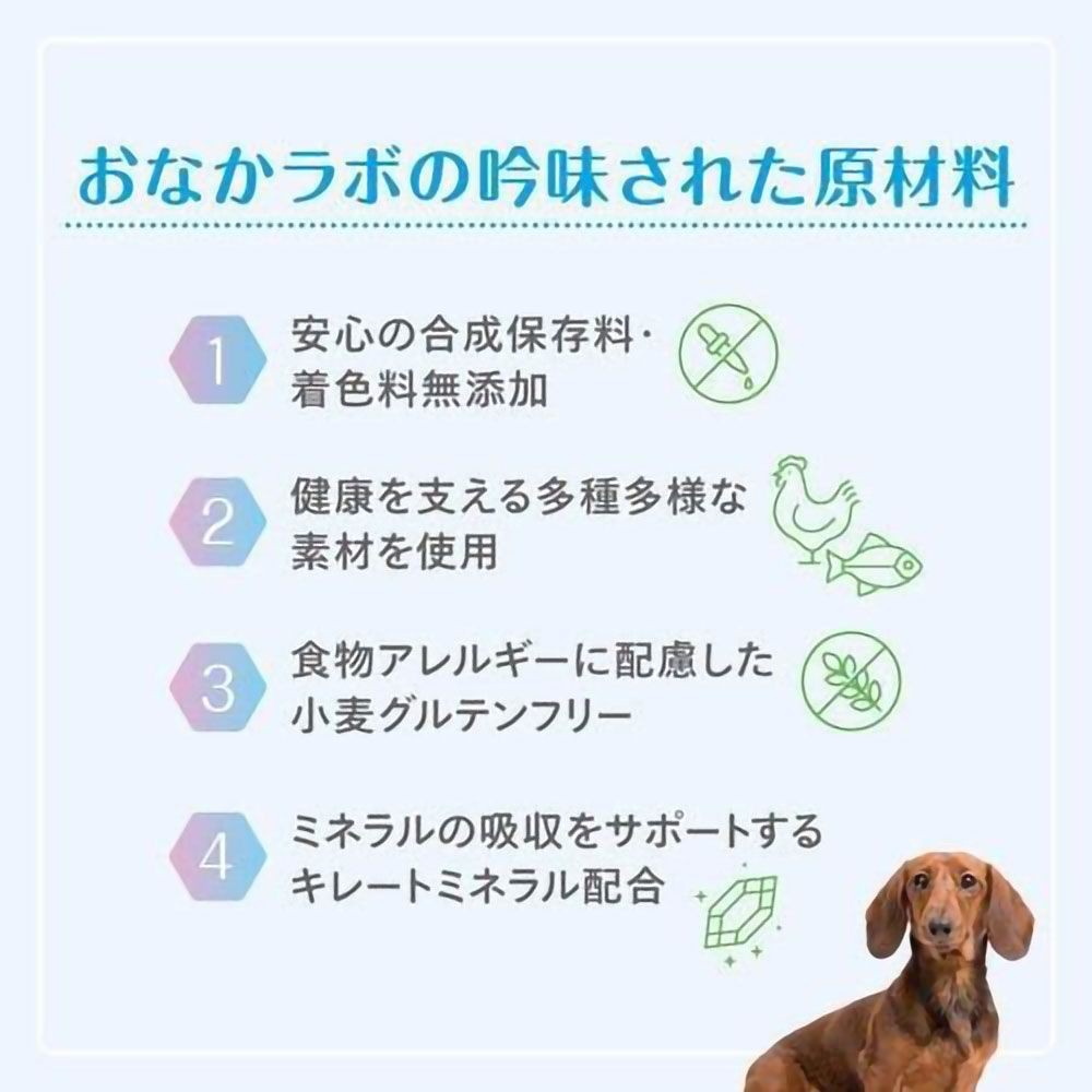 森乳 スーパーゴールド おなかラボ 体重調整用 800g, 体重調整用, 800g