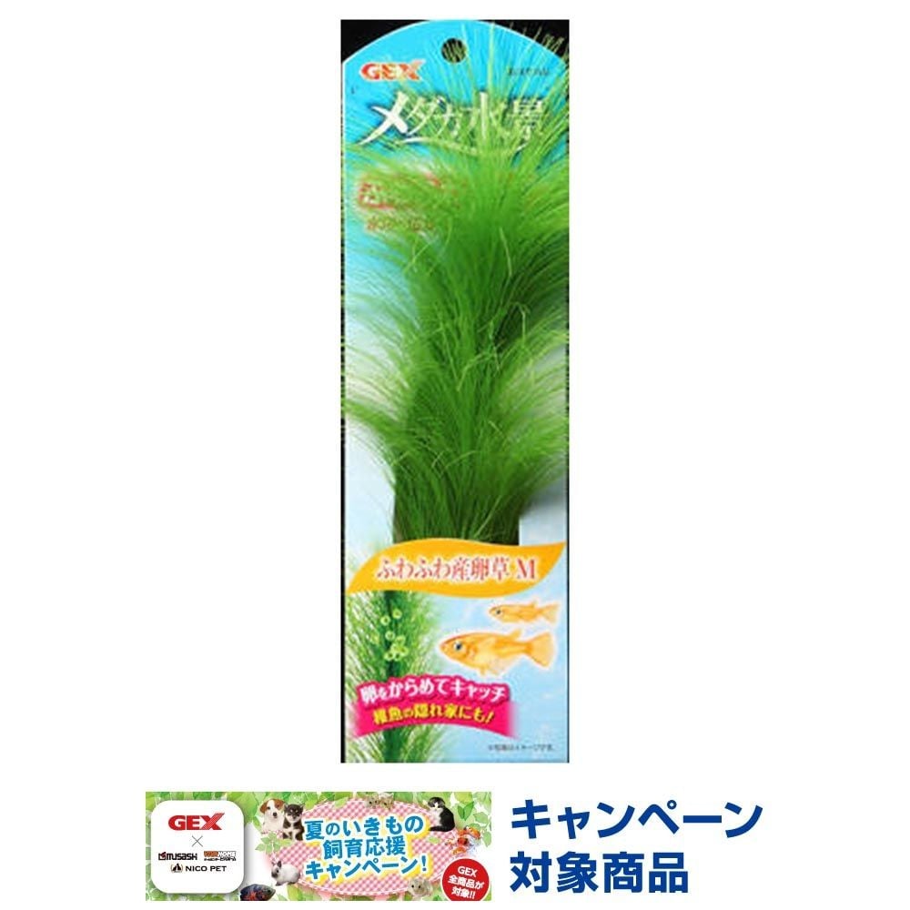 メダカ水景ふわふわ産卵草Ｓ, -, Sサイズ