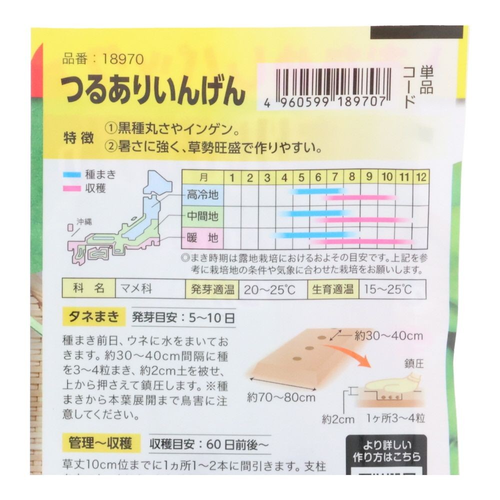 つるありいんげん（おためしパック）, インゲン, 15粒