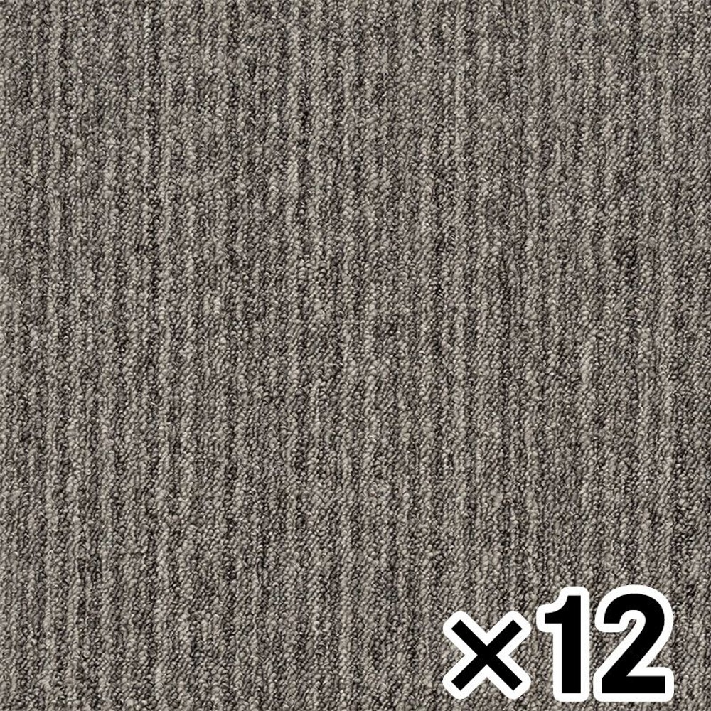 �j���[�s�^�R40 �m�o406 �_�[�N�O���[ ×12���Z�b�g