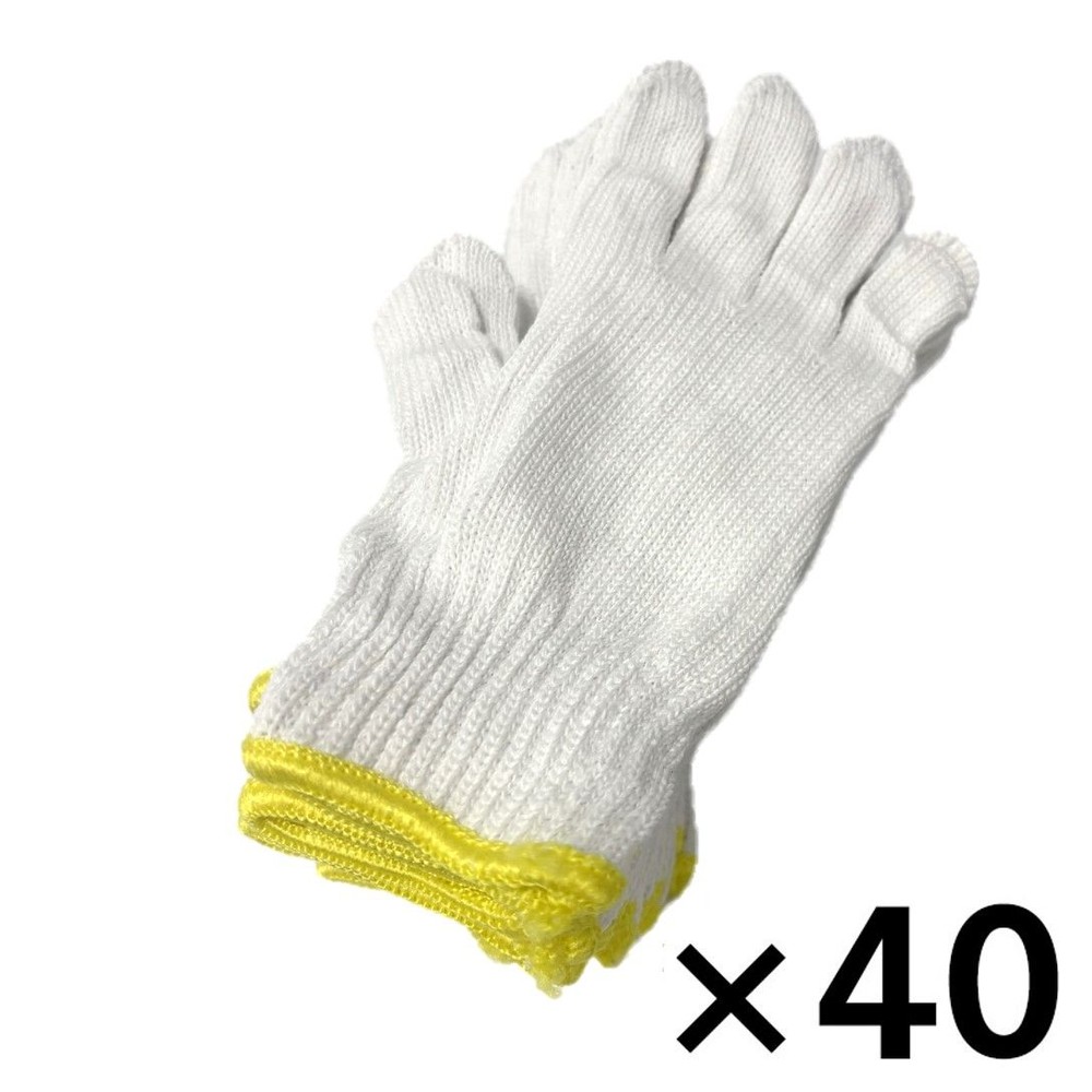 WIZA EBU  {RQDT{҂݂POog  40Zbg