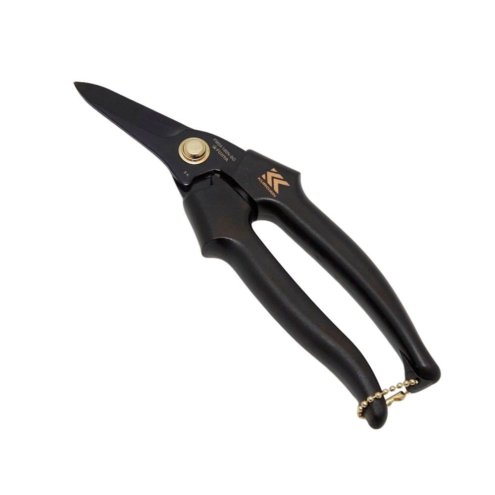 �t�W��@�����@�d�H�X�g���[�g�o�T�~�@�o�q�n