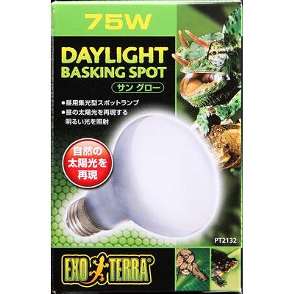 TO[oXLOX|bgv@VTvosQPRQ