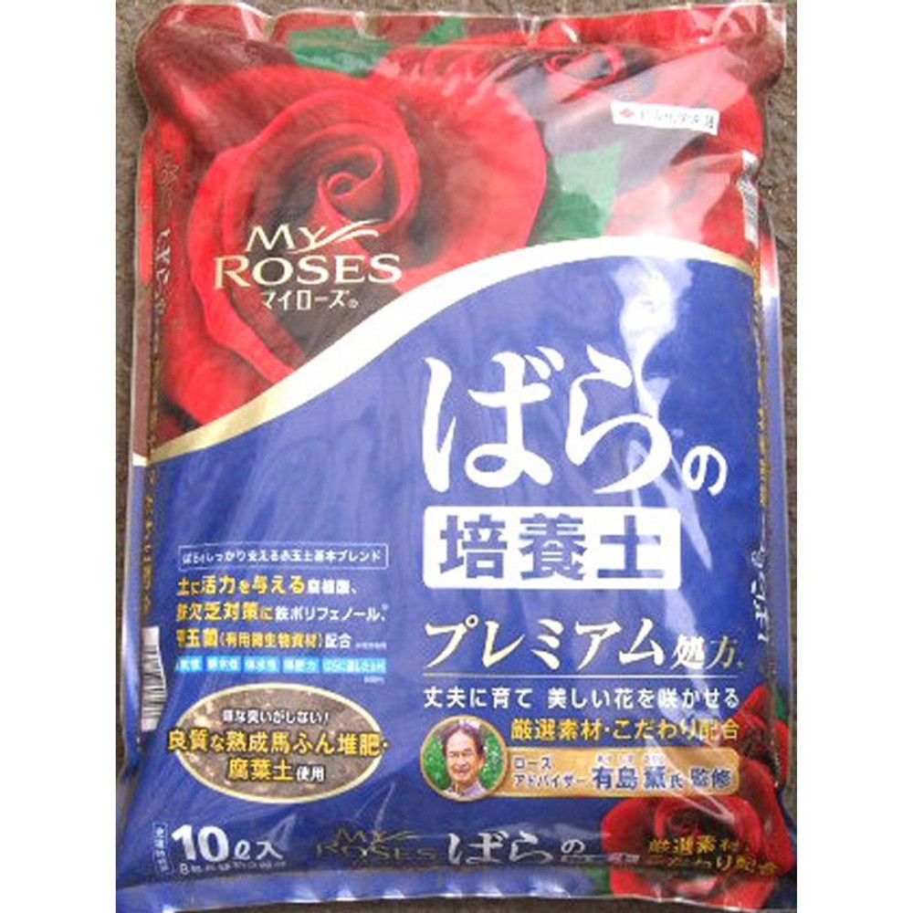 ZFw|@}C[Y@΂̔|{y@10k