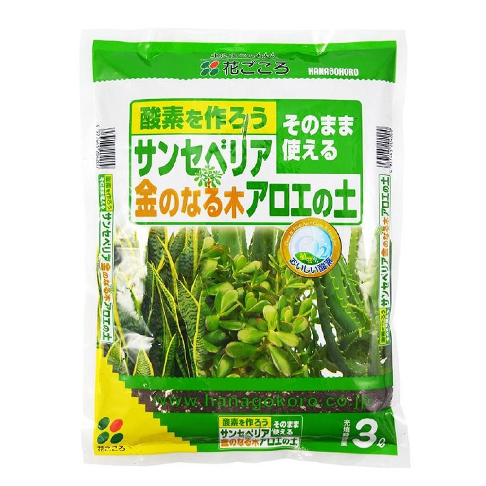 Ԃ@TZxAÊȂ؁EAG̓y@3L