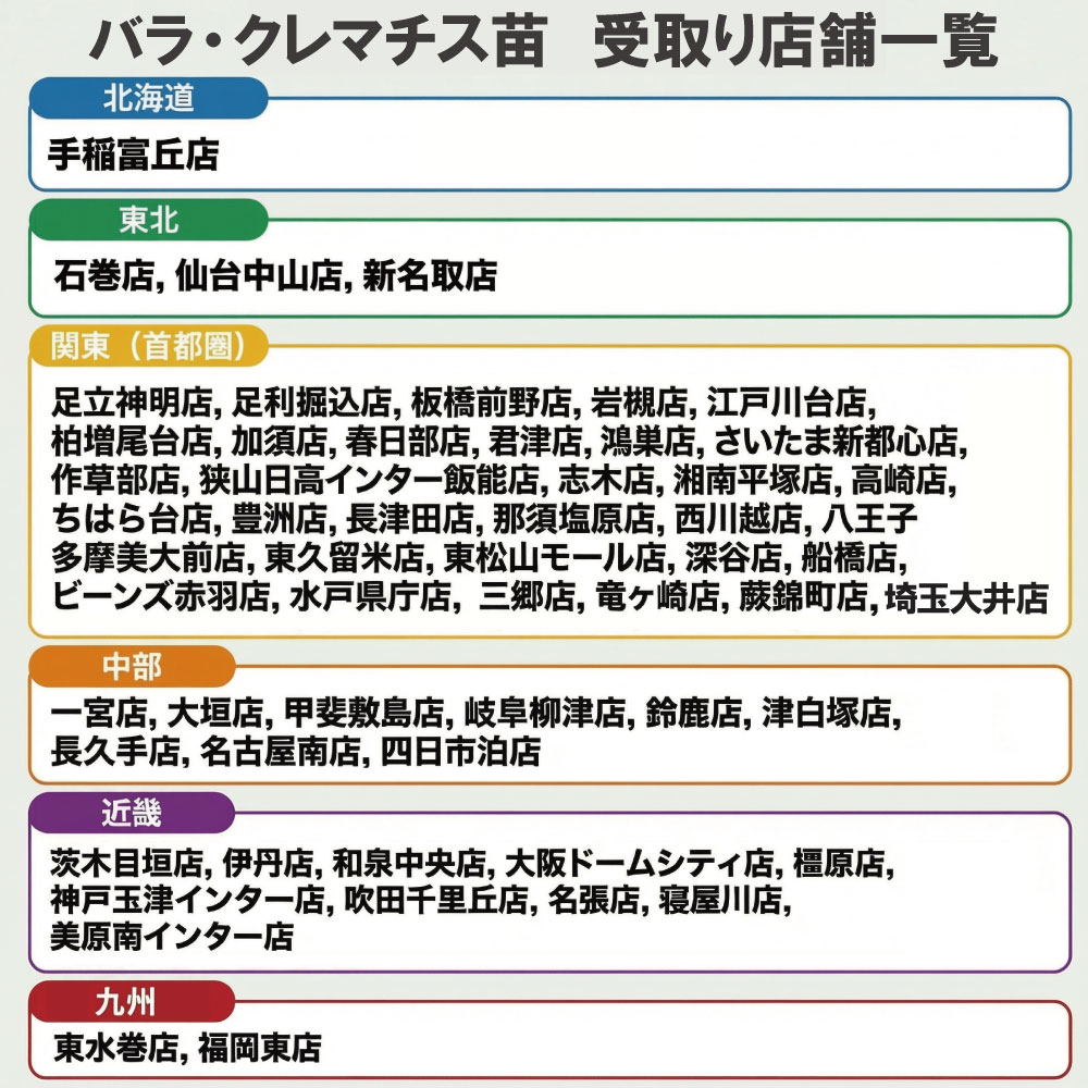 店頭受取 予約商品】バラ苗 プリマビスタ | ホームセンタービバホーム